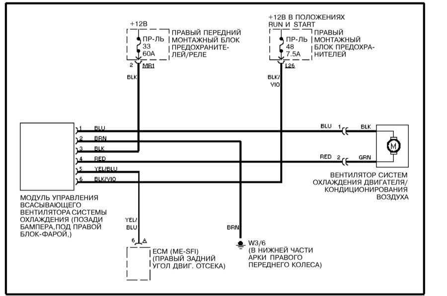 Расположение основных электрических элементов системы электрооборудования   кузова автомобиля mercedes s class w220 | ремонт мерседес и обслуживание